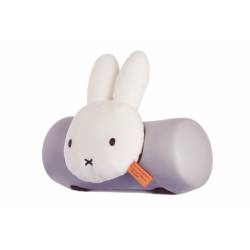 REMBOURRAGE GUIDON LAPIN...