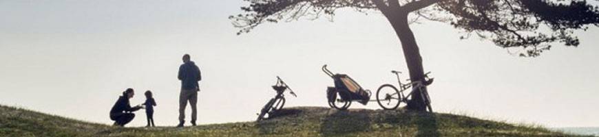 Vente de Remorques vélo THULE - Carriole / Chariot Enfant, Bébé